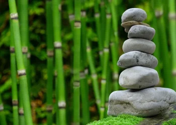 Jung explica a importância dos símbolos. Essa é uma das bases do Feng Shui Lógico.