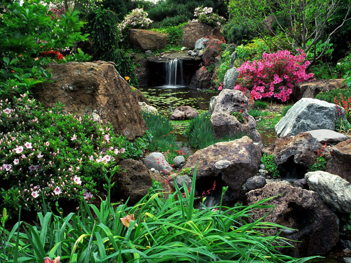 Qual o significado de Feng Shui? Qual a pronúncia em mandarim?