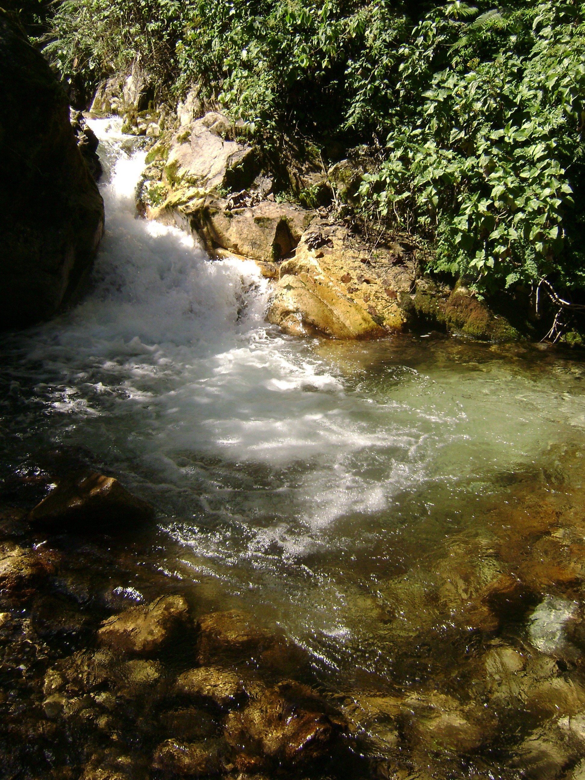 Aprenda um ritual simples para Cura das Emoções