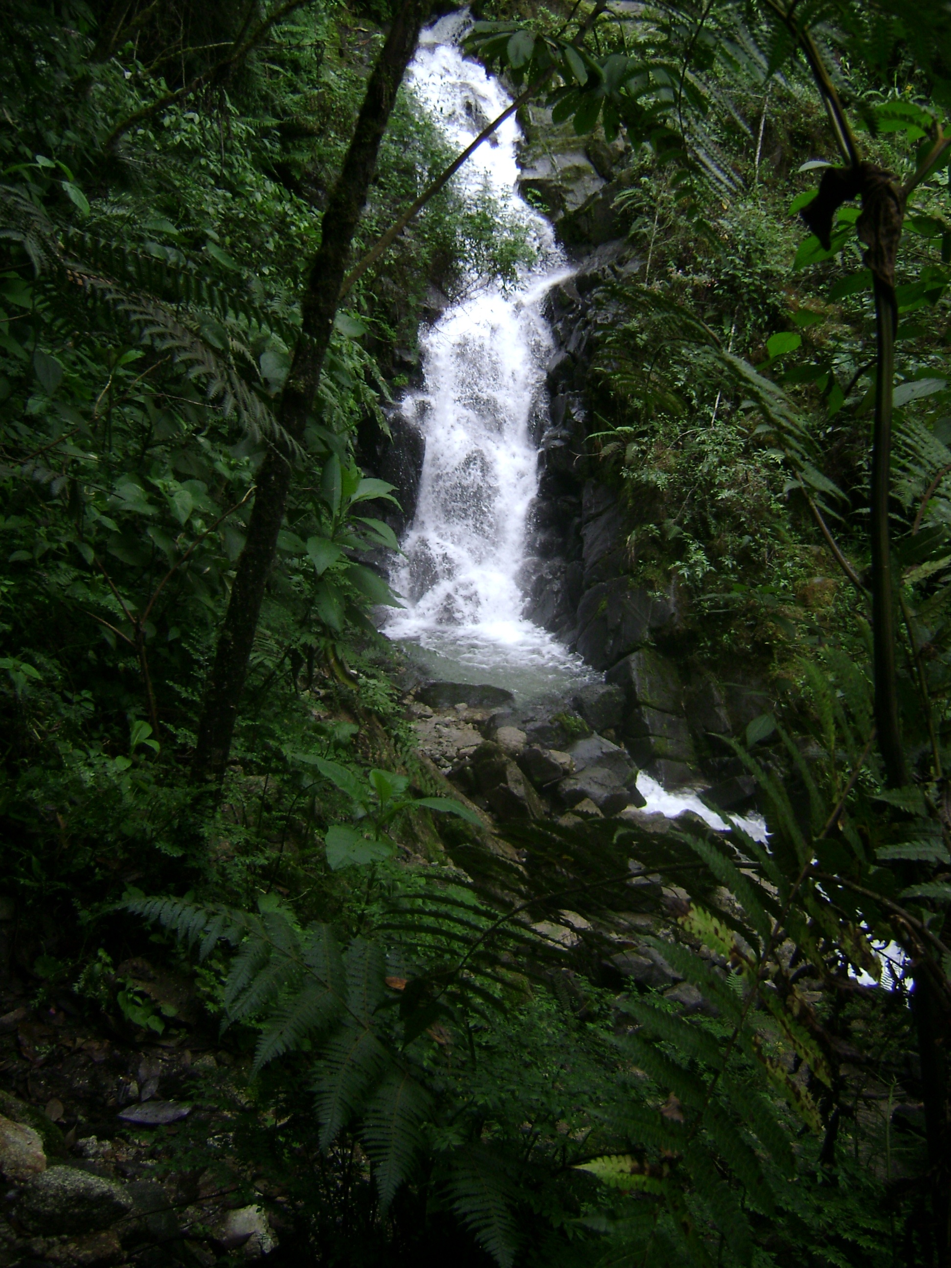 Feng Shui e os Cinco Elementos na Decoração: FOGO, TERRA, METAL, ÁGUA e MADEIRA
