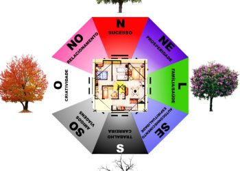 Dois guás (áreas) do ba-guá estão em um único ambiente/comodo: como ativar?
