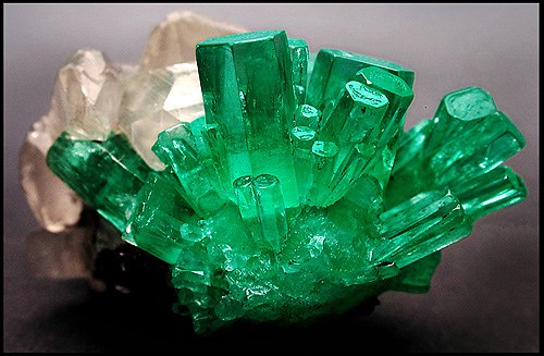 Significado da cor verde: quando e onde usar?