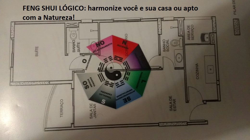 Curso Básico Feng Shui Lógico Online Personalizado com Stela Vecchi