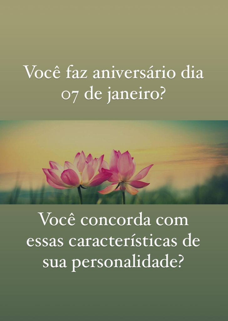 O atributo alt desta imagem está vazio. O nome do arquivo é IMG_8808-729x1024.jpg